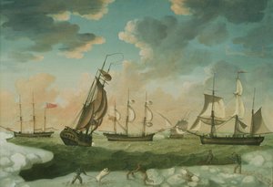 Escena ártica